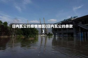 日内瓦公约疫情地区(日内瓦公约条款)