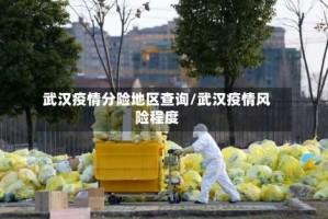 武汉疫情分险地区查询/武汉疫情风险程度