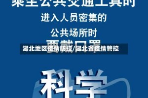 湖北地区疫情防控/湖北省疫情管控