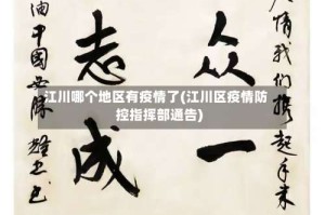 江川哪个地区有疫情了(江川区疫情防控指挥部通告)