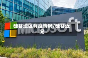 硅谷地区有疫情吗/硅谷近况