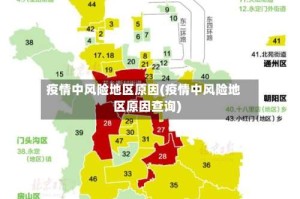 疫情中风险地区原因(疫情中风险地区原因查询)