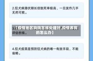 【疫情地区狗狗怎样处理好,疫情养狗的怎么办】