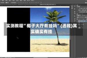 实测教程”椰子大厅有挂吗”(透视)其实确实有挂