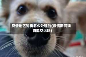 疫情地区狗狗怎么处理的(疫情期间狗狗能空运吗)