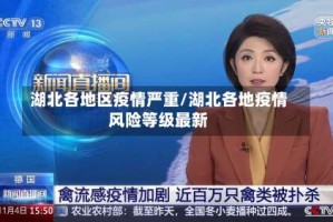 湖北各地区疫情严重/湖北各地疫情风险等级最新