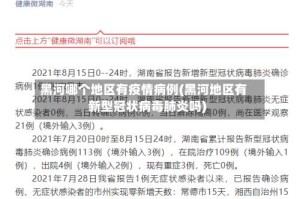 黑河哪个地区有疫情病例(黑河地区有新型冠状病毒肺炎吗)