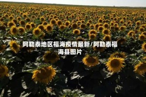 阿勒泰地区福海疫情最新/阿勒泰福海县图片