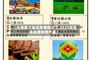 【云南哪个地区疫情最少了,2021年云南哪里疫情严重】
