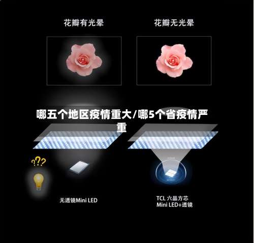 哪五个地区疫情重大/哪5个省疫情严重-第2张图片