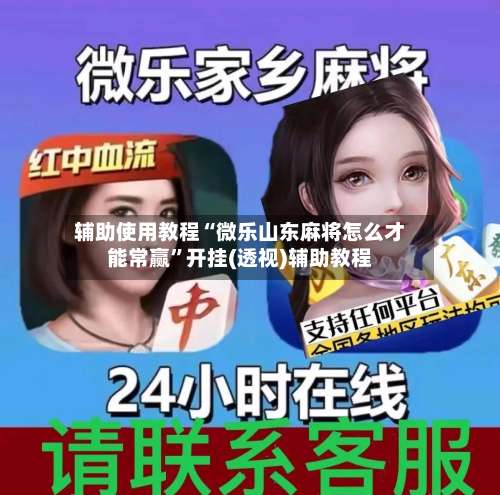 辅助使用教程“微乐山东麻将怎么才能常赢	”开挂(透视)辅助教程-第1张图片