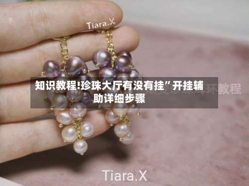 知识教程!珍珠大厅有没有挂”开挂辅助详细步骤-第2张图片