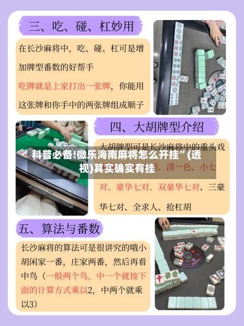 科普必备!微乐海南麻将怎么开挂”(透视)其实确实有挂-第1张图片