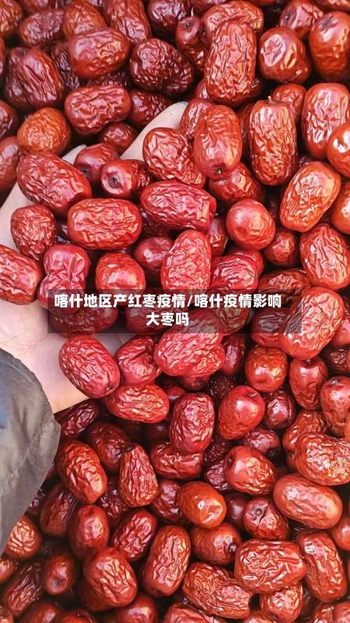 喀什地区产红枣疫情/喀什疫情影响大枣吗-第1张图片