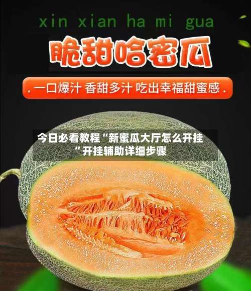 今日必看教程“新蜜瓜大厅怎么开挂”开挂辅助详细步骤-第2张图片