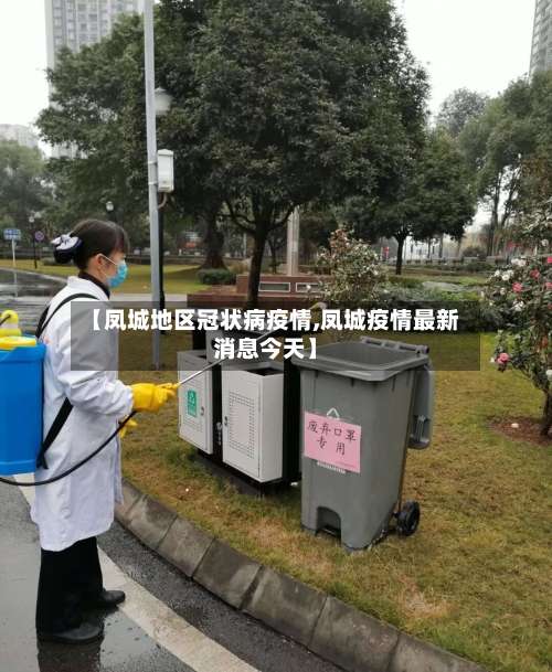 【凤城地区冠状病疫情,凤城疫情最新消息今天】-第1张图片