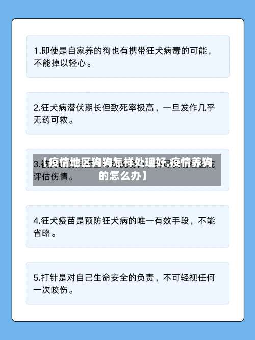 【疫情地区狗狗怎样处理好,疫情养狗的怎么办】-第1张图片