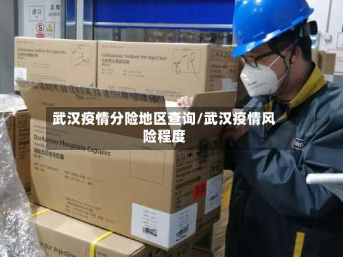 武汉疫情分险地区查询/武汉疫情风险程度-第2张图片