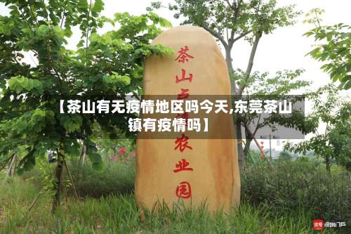 【茶山有无疫情地区吗今天,东莞茶山镇有疫情吗】-第1张图片