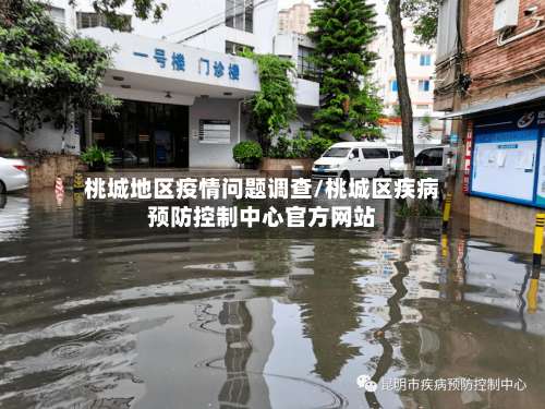 桃城地区疫情问题调查/桃城区疾病预防控制中心官方网站-第2张图片