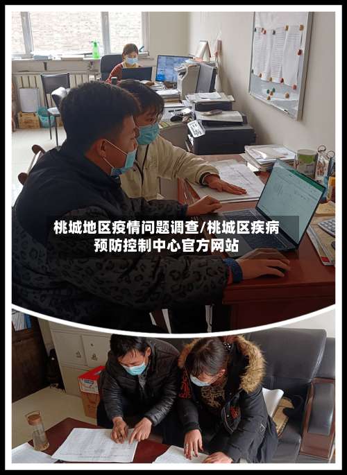 桃城地区疫情问题调查/桃城区疾病预防控制中心官方网站-第1张图片