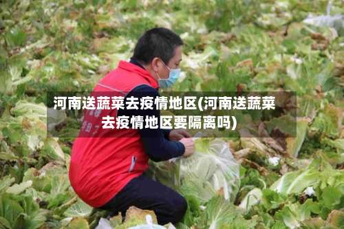 河南送蔬菜去疫情地区(河南送蔬菜去疫情地区要隔离吗)-第1张图片