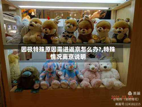 因极特殊原因需进返京怎么办?,特殊情况离京说明-第1张图片