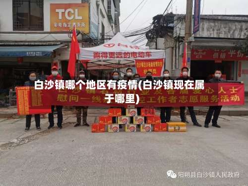 白沙镇哪个地区有疫情(白沙镇现在属于哪里)-第3张图片