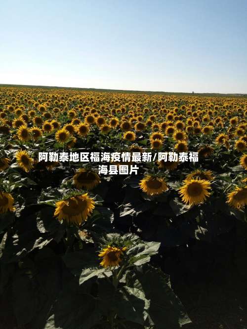 阿勒泰地区福海疫情最新/阿勒泰福海县图片-第1张图片