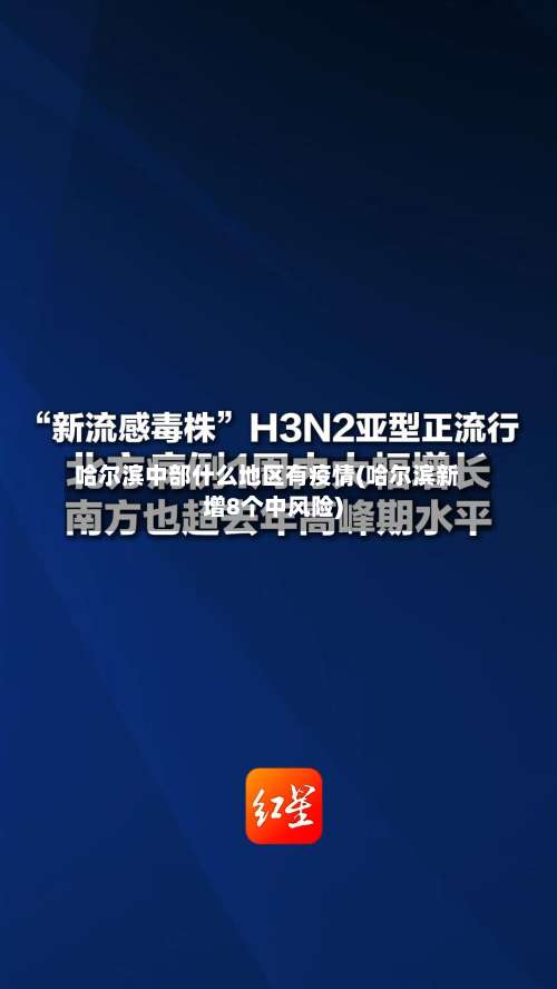 哈尔滨中部什么地区有疫情(哈尔滨新增8个中风险)-第1张图片