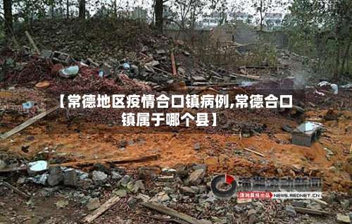 【常德地区疫情合口镇病例,常德合口镇属于哪个县】-第2张图片