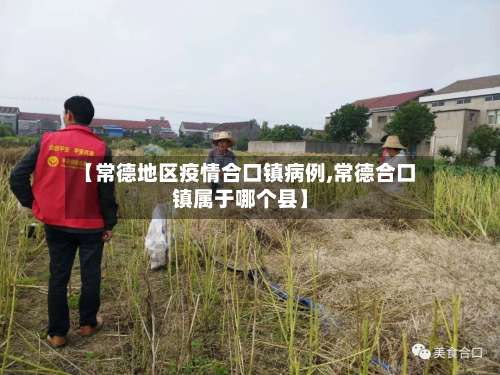【常德地区疫情合口镇病例,常德合口镇属于哪个县】-第1张图片