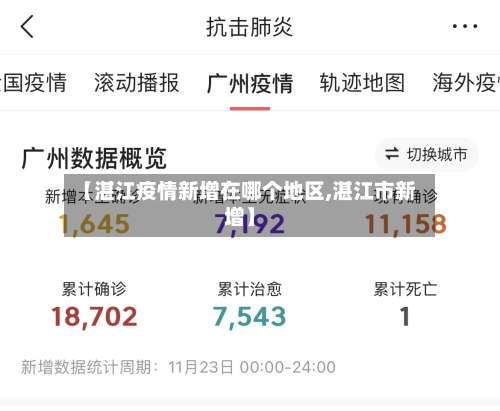 【湛江疫情新增在哪个地区,湛江市新增】-第2张图片