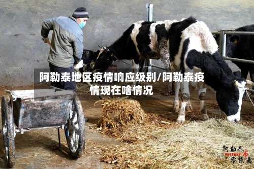 阿勒泰地区疫情响应级别/阿勒泰疫情现在啥情况-第1张图片