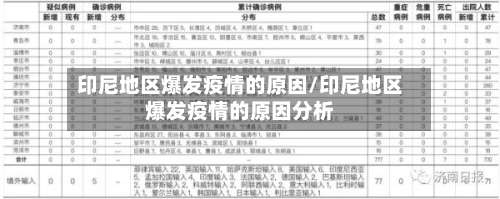印尼地区爆发疫情的原因/印尼地区爆发疫情的原因分析-第2张图片
