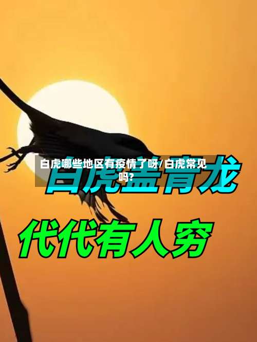 白虎哪些地区有疫情了呀/白虎常见吗?-第2张图片